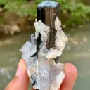 Natural Schorl Black Tourmaline Crystals with Apatite and Quartz from Pakistan - image 5