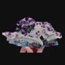 specimen video