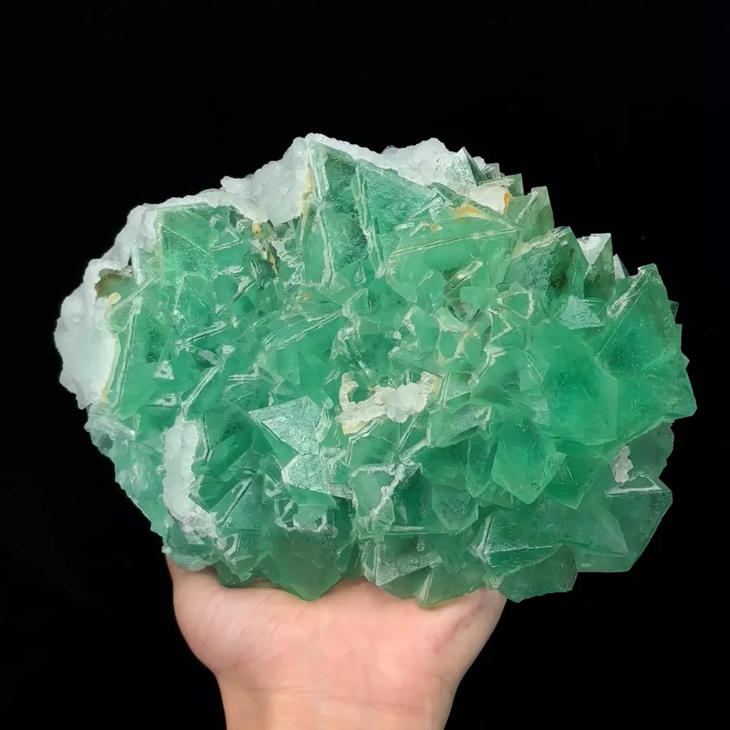 specimen video