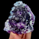 specimen video