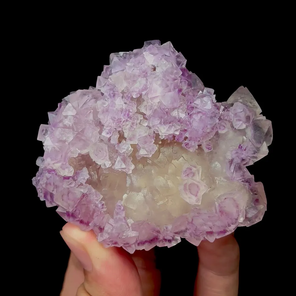 specimen video