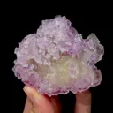 specimen video