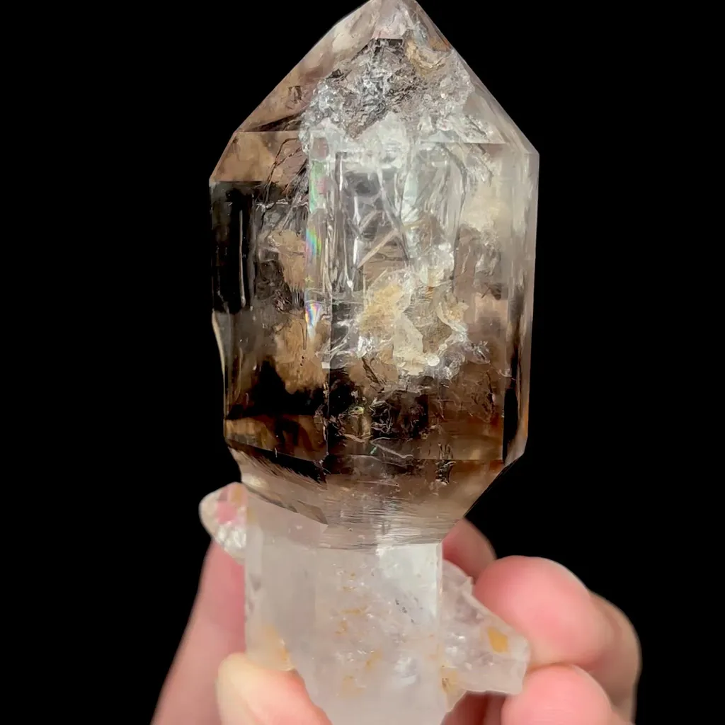 specimen video
