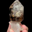 specimen video