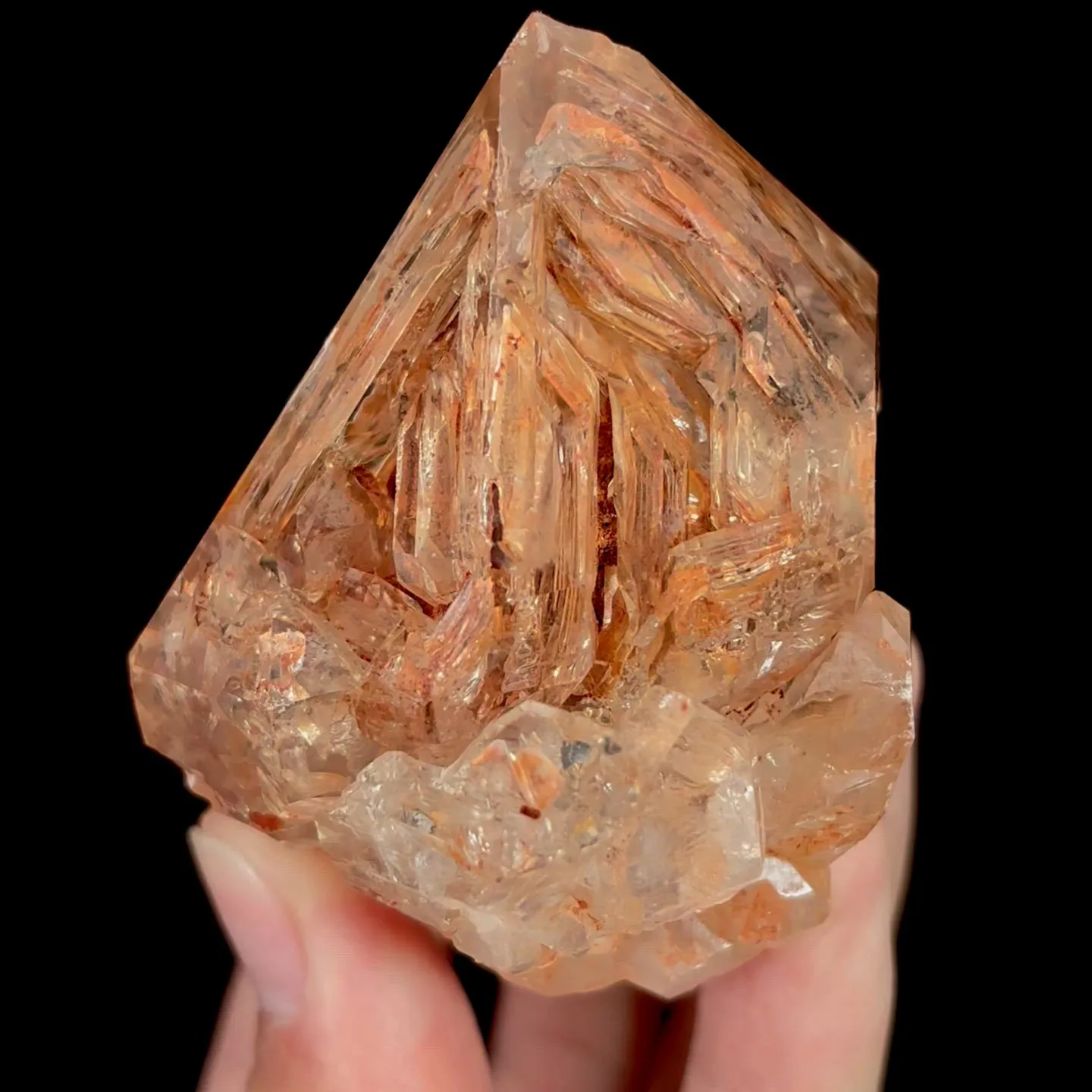 specimen video