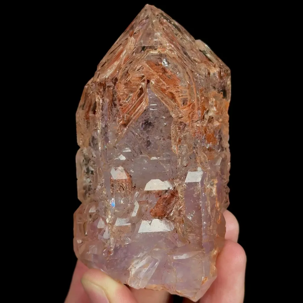 specimen video