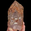 specimen video