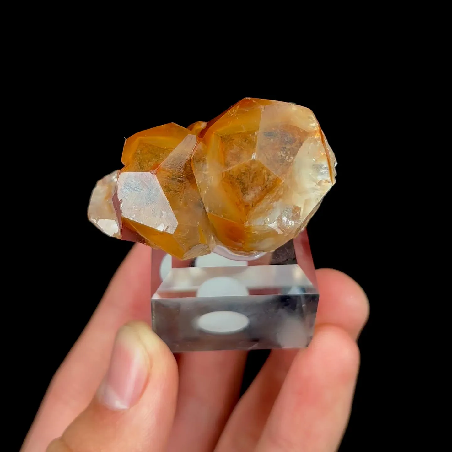 specimen video