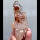 specimen video