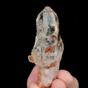 specimen video