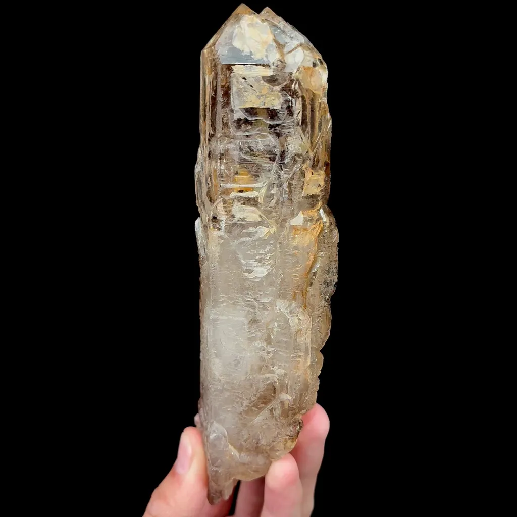specimen video