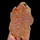 specimen video