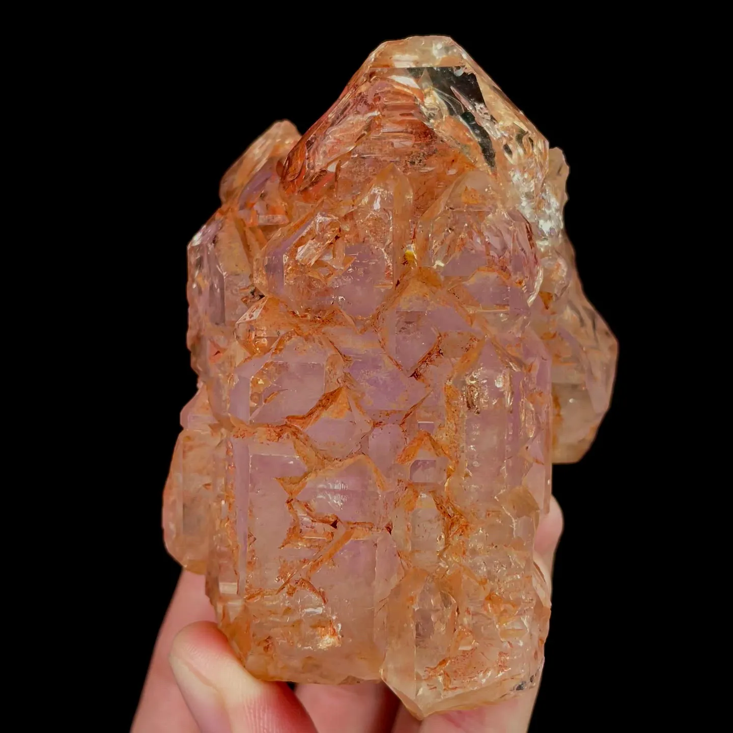 specimen video