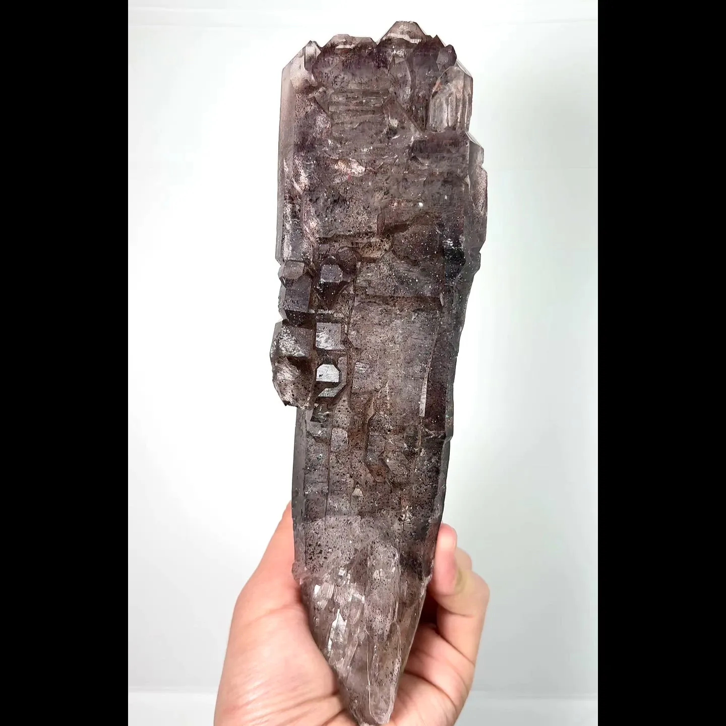 specimen video