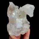 specimen video