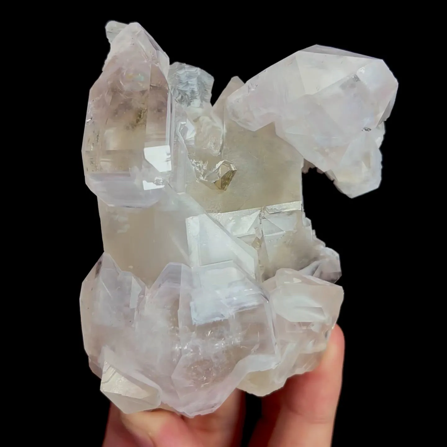 specimen video