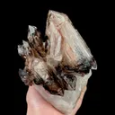 specimen video