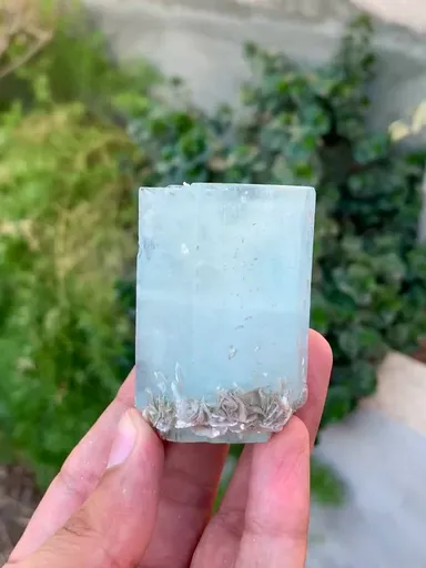 specimen video
