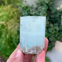 specimen video