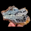 specimen video