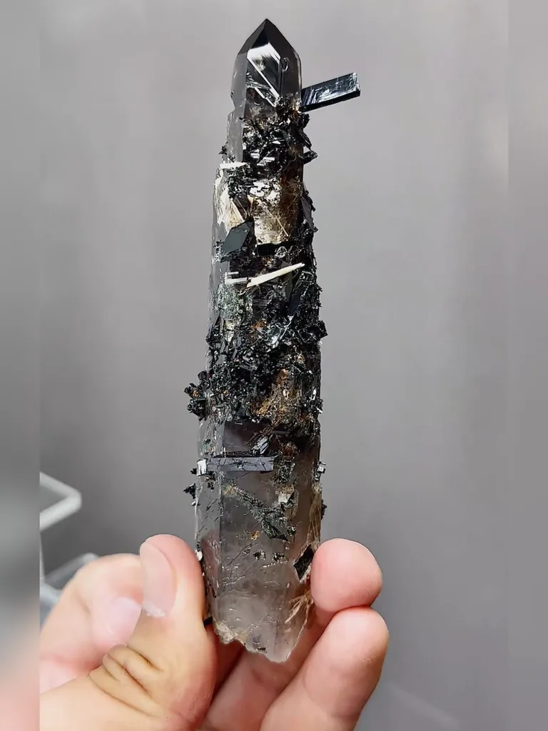 Natural Smoky Quartz and Andalusite coexist comes from Nepal 120*35*25MM image