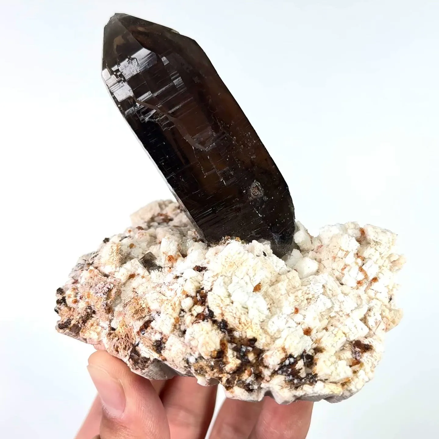 specimen video