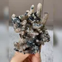 Natural Smoky Quartz Cluster and Specularite Symbiosis comes from Inner Mongolia,China 95*75*35MM - image 2