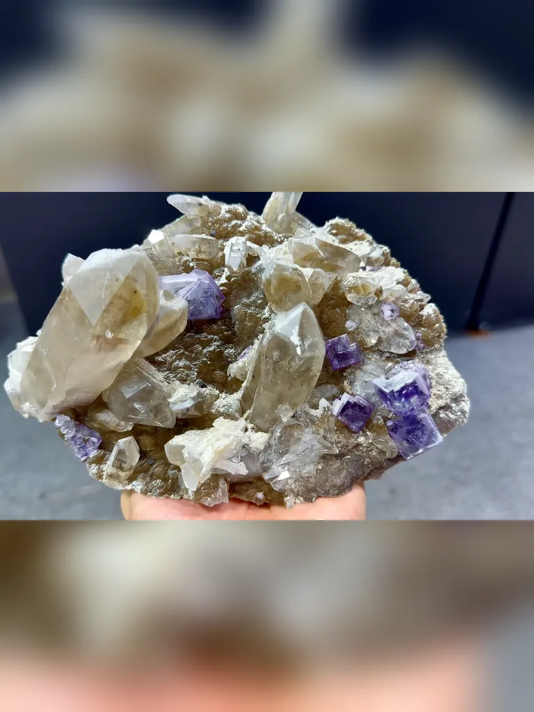 Natural Smoky Quartz Clusters coexisting with Purple Fubic Fluorite comes from Yaogangxian,Hunan 180*120*90MM image