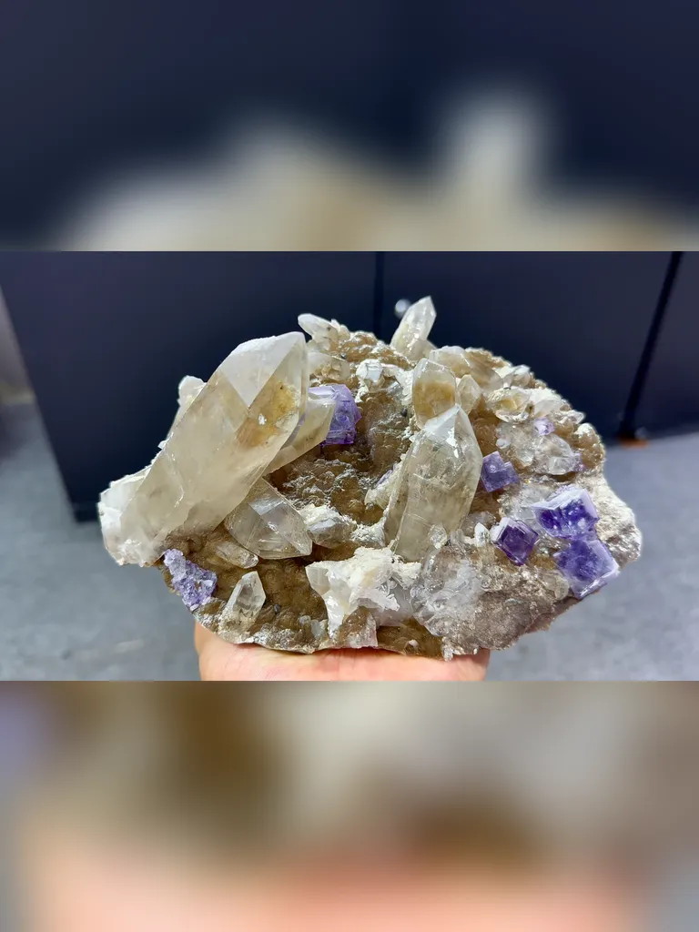 Natural Smoky Quartz Clusters coexisting with Purple Fubic Fluorite comes from Yaogangxian,Hunan 180*120*90MM - image 2
