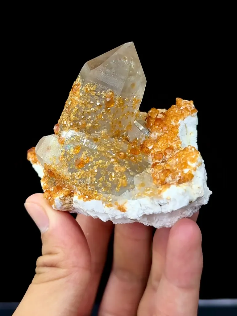 Natural Smoky Quartz Columns and Garnets Coexist comes from Yunxiaotongbei,Fujian 80*50*75MM image