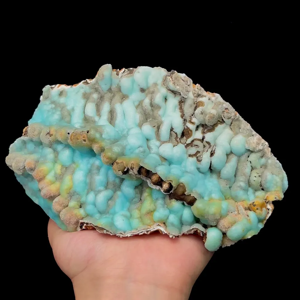 specimen video