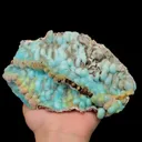 specimen video