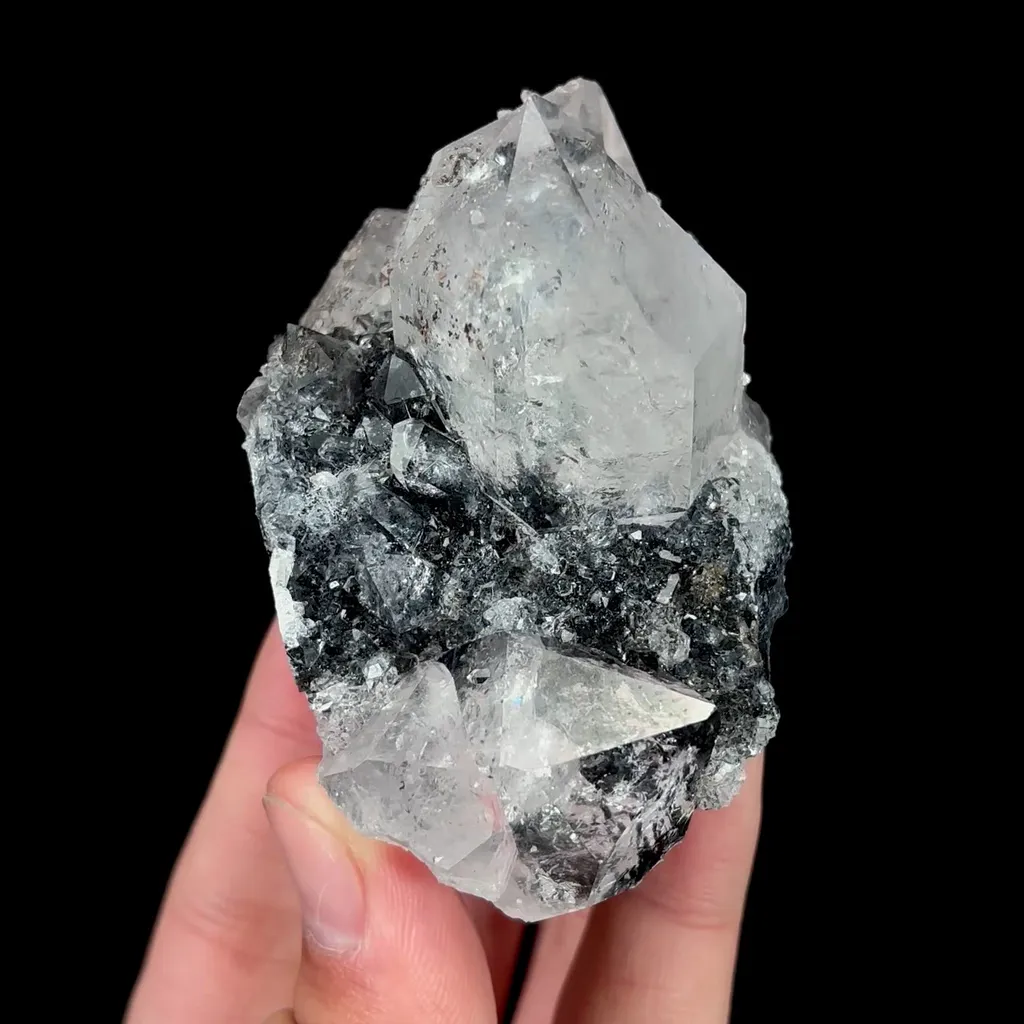 specimen video