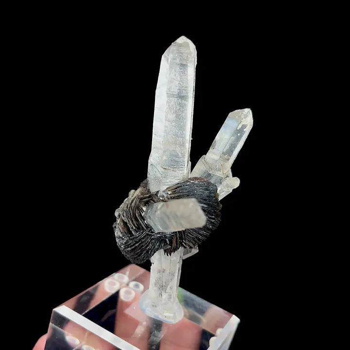 Natural Specularite and Clear Quartz Cluster, Mineral Specimen:Jinlong,Guangdong (55*30*80MM) - image 3
