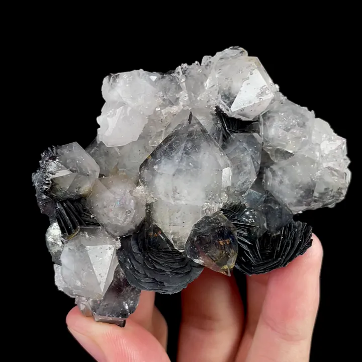 Natural Specularite and Clear Quartz, Mineral Specimen:Jinlong,Guangdong (80*55*30MM) - image 5