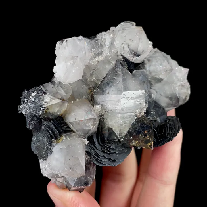 Natural Specularite and Clear Quartz, Mineral Specimen:Jinlong,Guangdong (80*55*30MM) image