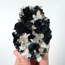 Natural Specularite and Quartz Cluster, Mineral Specimen: Inner Mongolia,China (100*75*45MM) - image 4