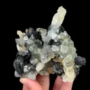 specimen video
