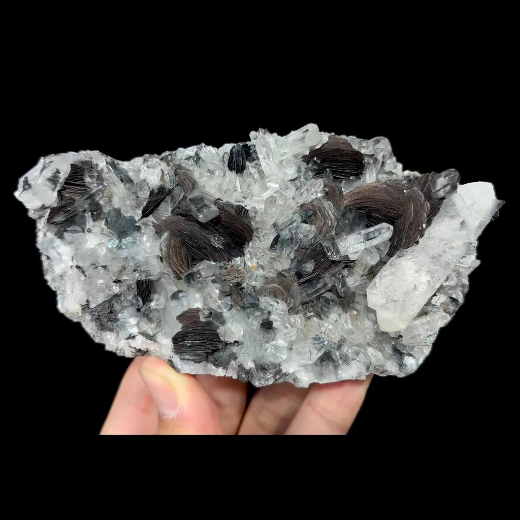 specimen video