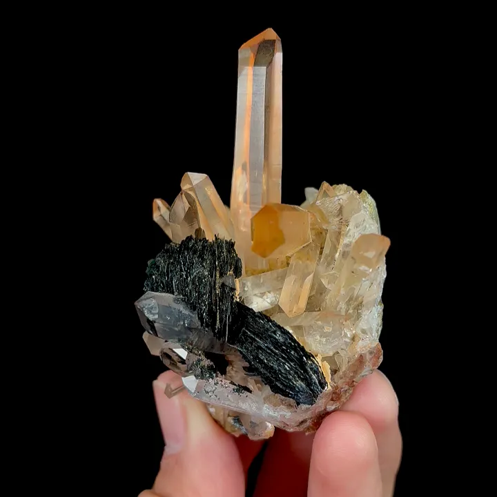 Natural Specularite and Quartz, Mineral Specimen: Jinlong,Guangdong (55*50*45MM) - image 3
