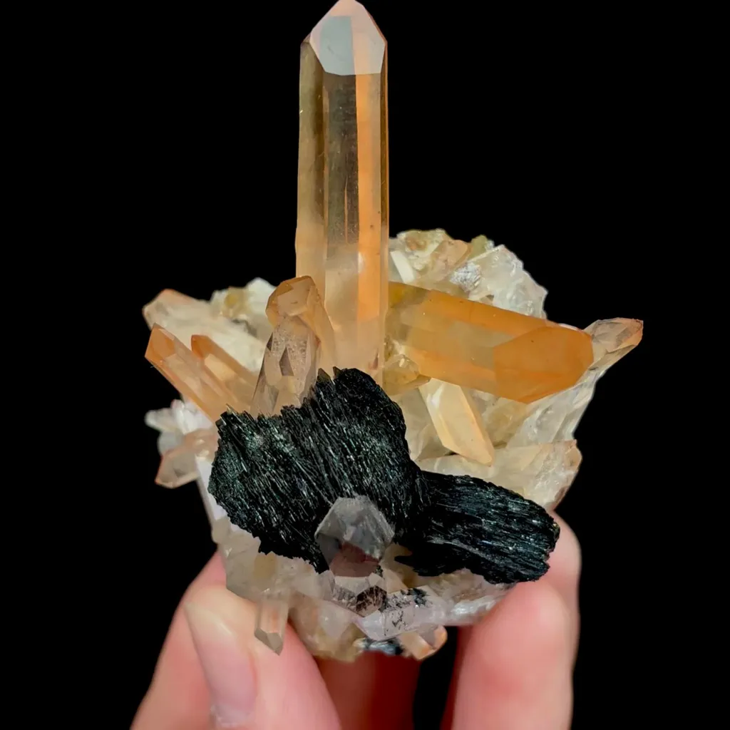 specimen video
