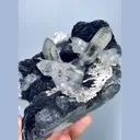 Natural Specularite and Quartz, Mineral Specimen:Jinlong,Guangdong (85*110*55MM) - image 3