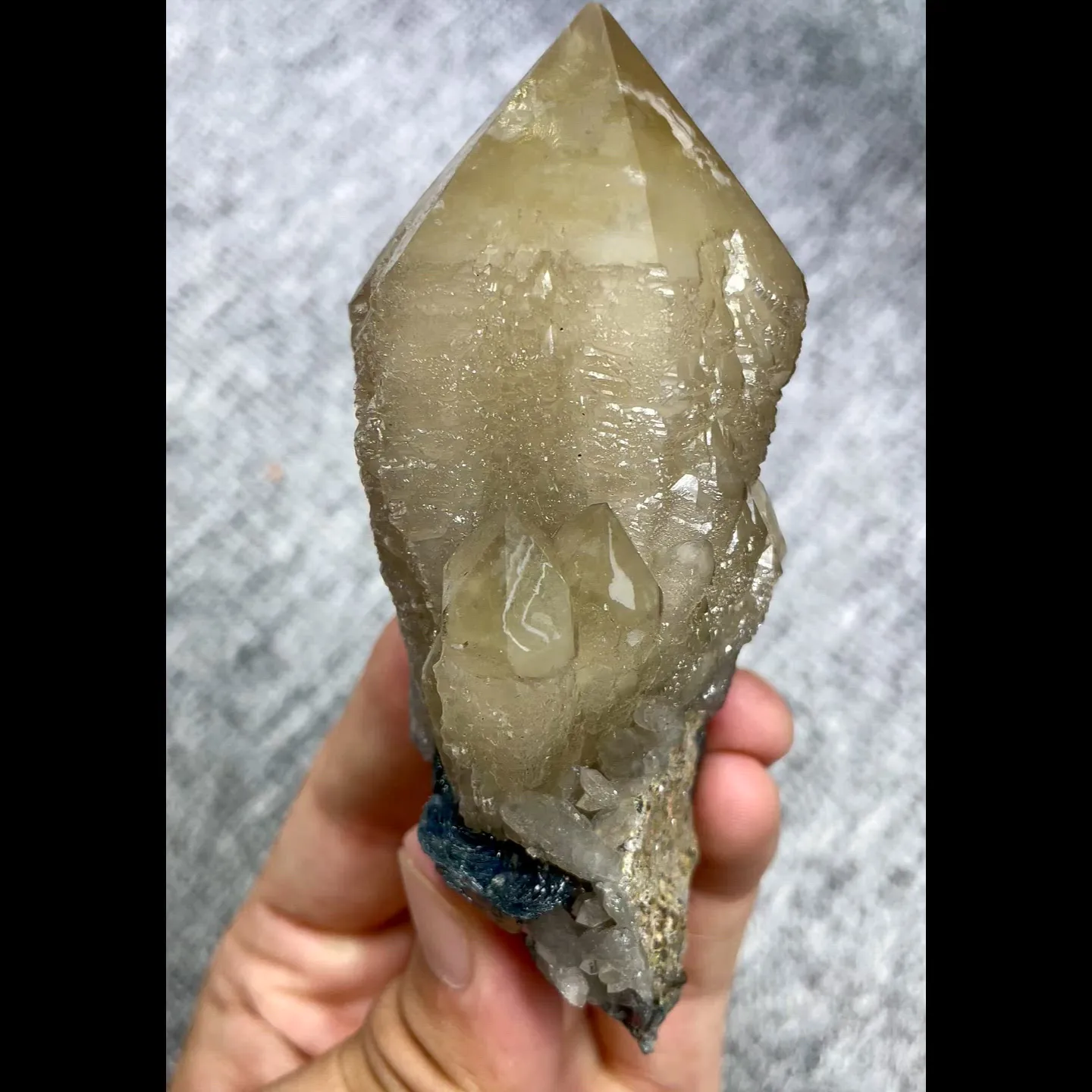 specimen video