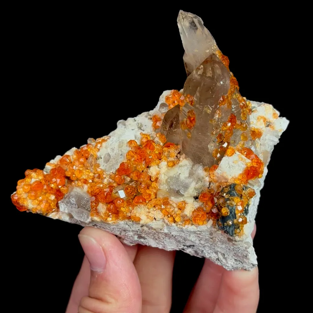 specimen video