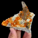 specimen video