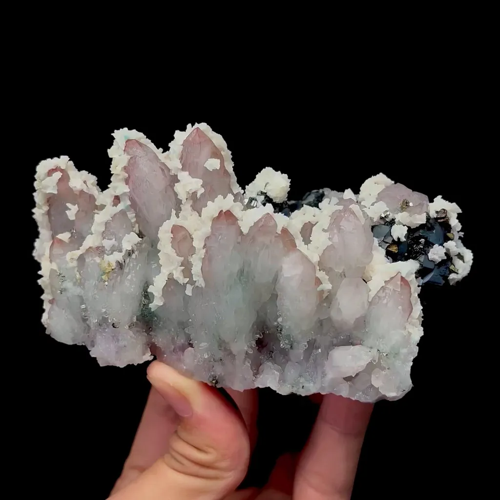 specimen video