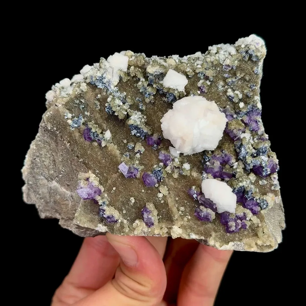 specimen video