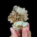 Natural Spherical Gypsum, Mineral Specimen: Guizhou,China (50*70*50MM) - image 2