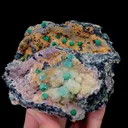 specimen video