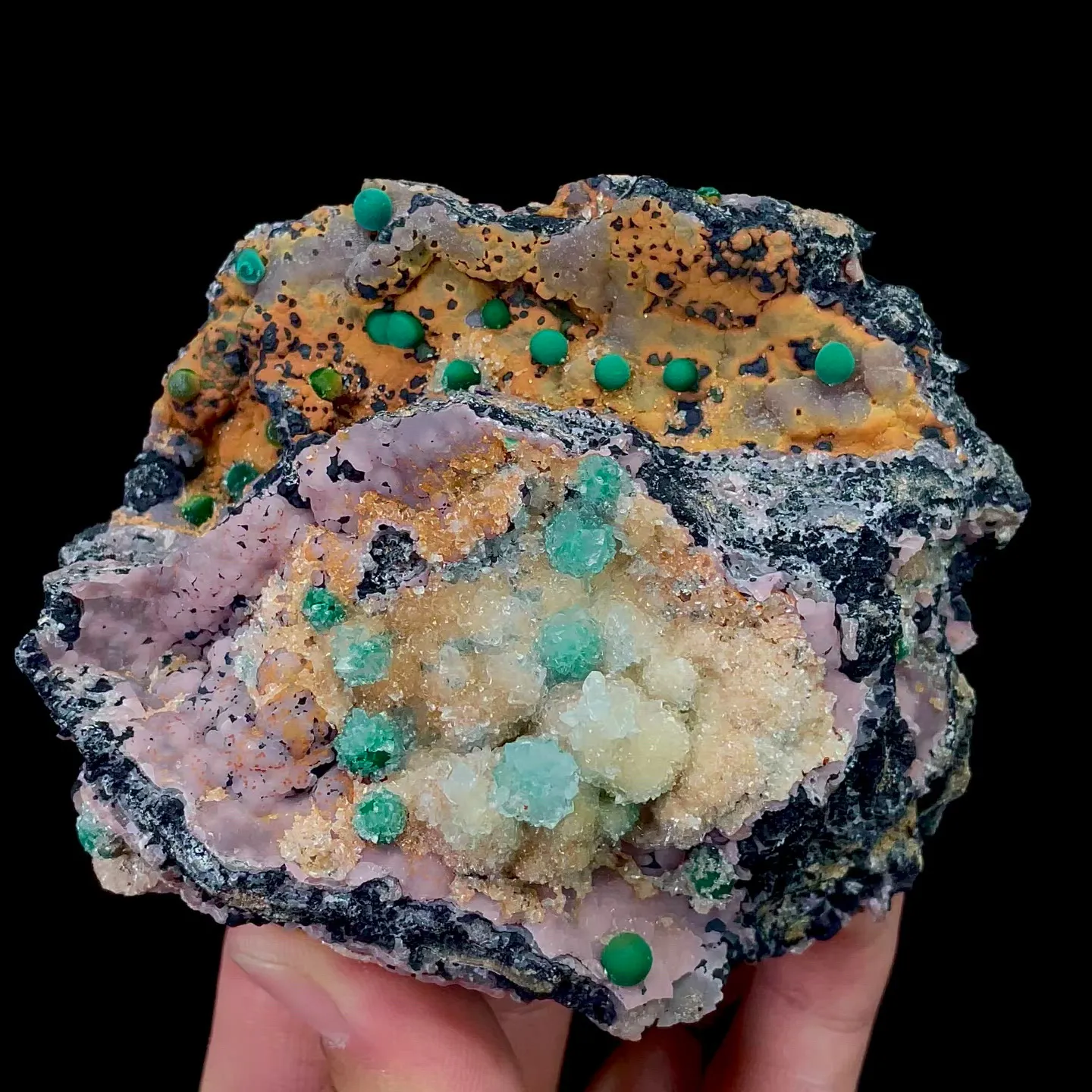 specimen video